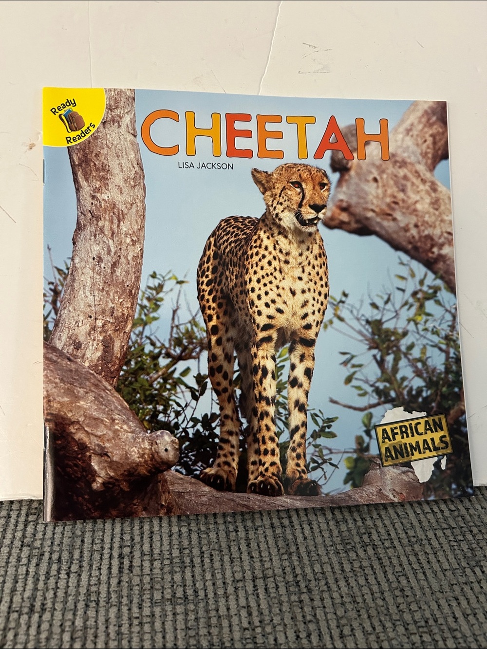 CHEETAH Picture Book by Lisa Jackson - paperback book African animals series